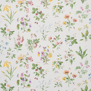 Floreana Berry 5010680 by Schumacher Wallpaper