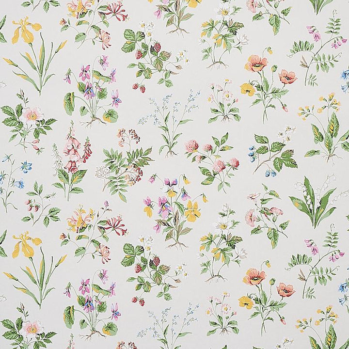 Floreana Berry 5010680 by Schumacher Wallpaper Signature Schumacher 27.0" - Fabric Carolina -
