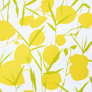 Joan Yellow 5010780 by Schumacher Wallpaper