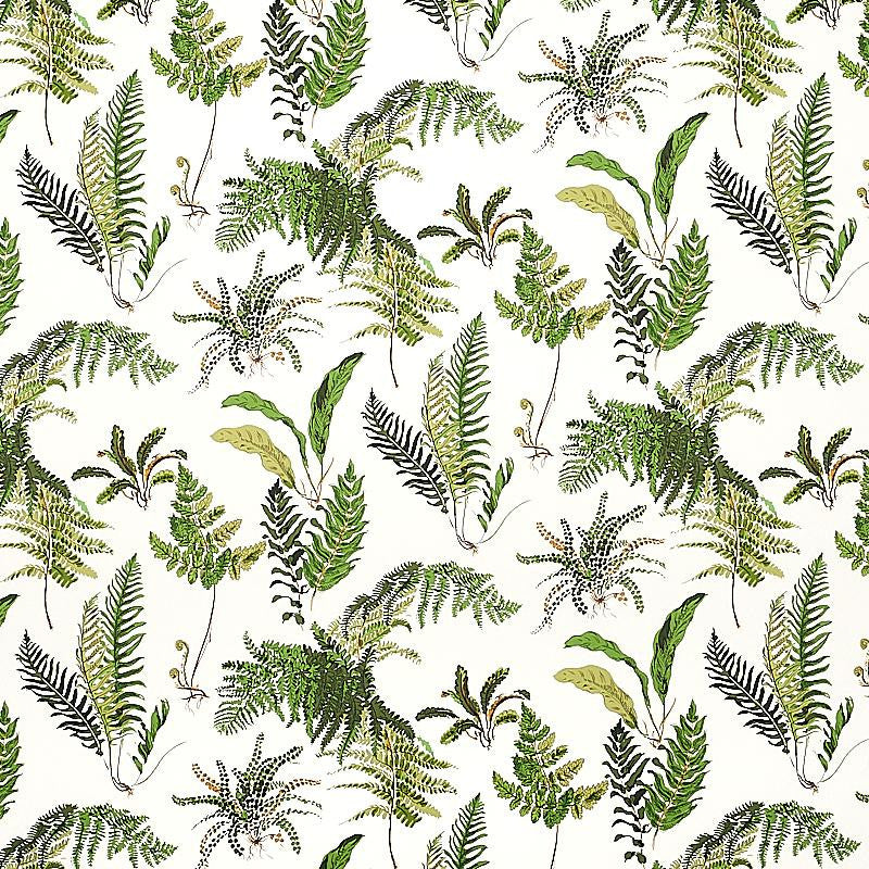 Les Fougeres Document 5010660 by Schumacher Designer Wallpaper Signature Schumacher 18.0" - Swanky Fabrics -