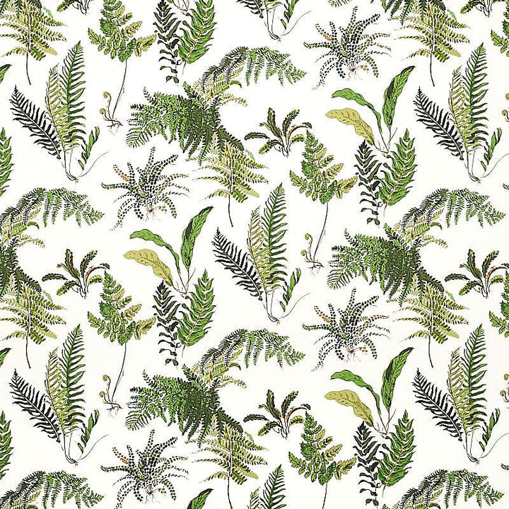 Les Fougeres Document 5010660 by Schumacher Designer Wallpaper Signature Schumacher 18.0" - Swanky Fabrics -
