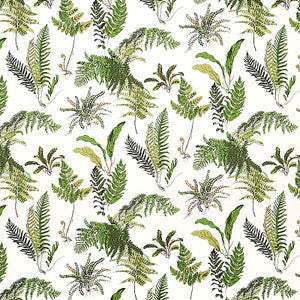 Les Fougeres Document 5010660 by Schumacher Wallpaper