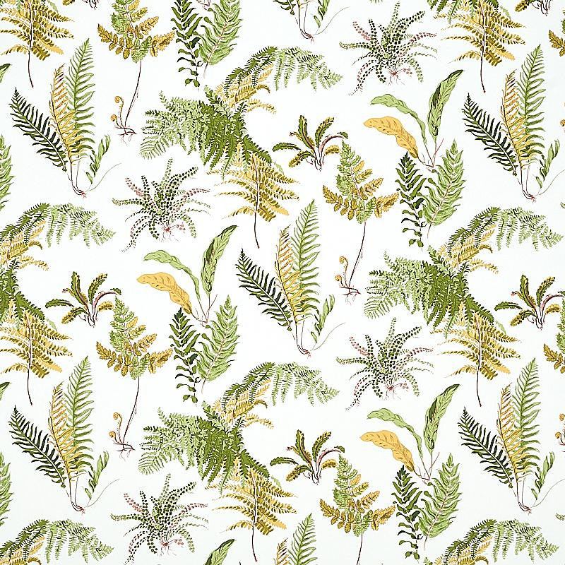 Les Fougeres Spring 5010661 by Schumacher Wallpaper Signature Schumacher 18.0" - Fabric Carolina -