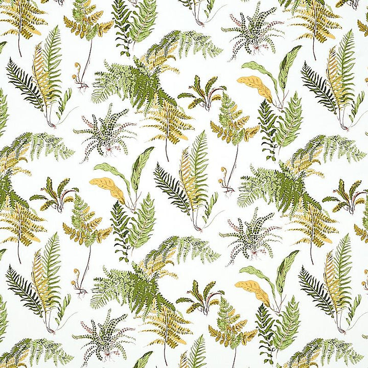 Les Fougeres Spring 5010661 by Schumacher Wallpaper Signature Schumacher 18.0" - Fabric Carolina -