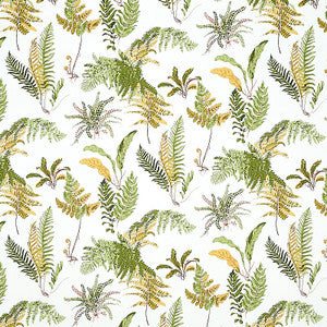 Les Fougeres Spring 5010661 by Schumacher Wallpaper