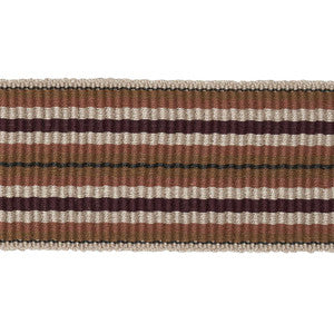 Topaki Stripe Tape Medium Aubergine 79752 by Schumacher Trim