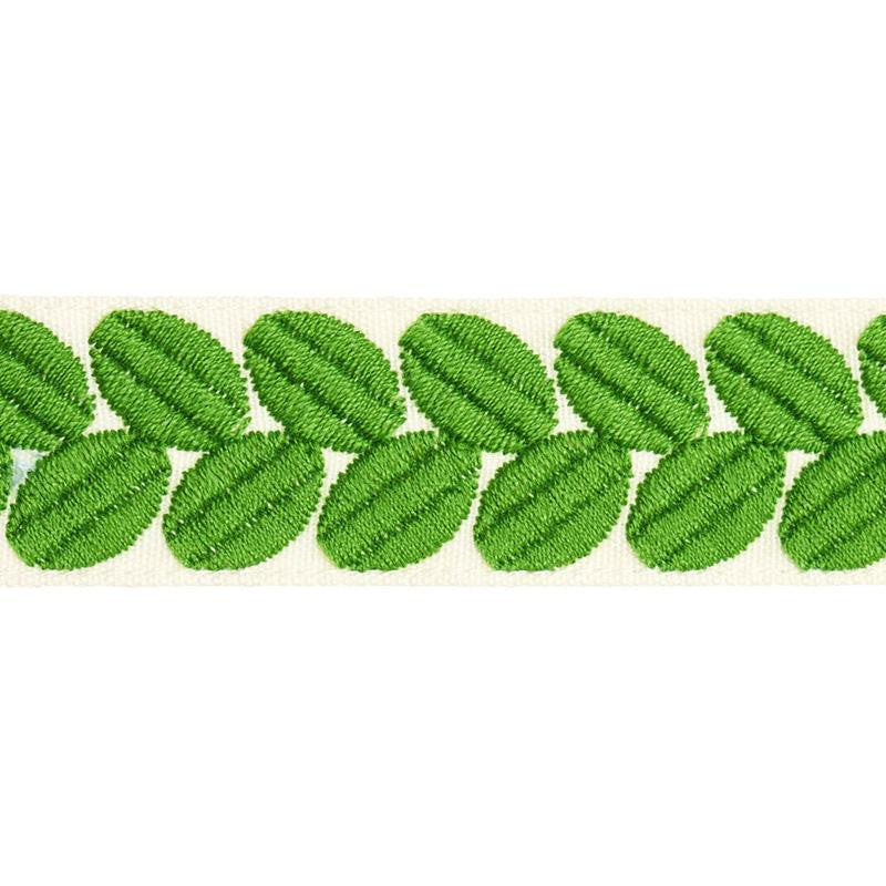 Berkeley Tape Narrow Leaf 79913 by Schumacher Trim Happy Together Ii - Fabric Carolina -