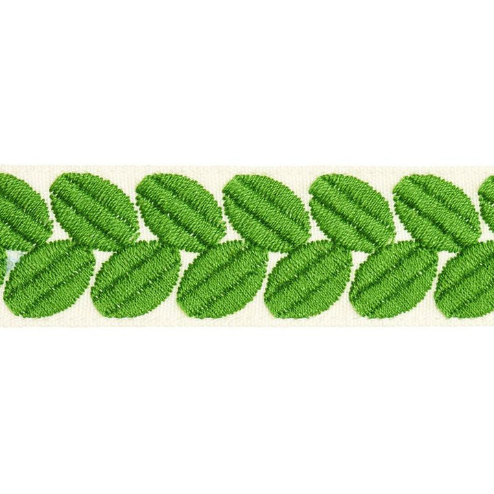 Berkeley Tape Narrow Leaf 79913 by Schumacher Trim Happy Together Ii - Fabric Carolina -