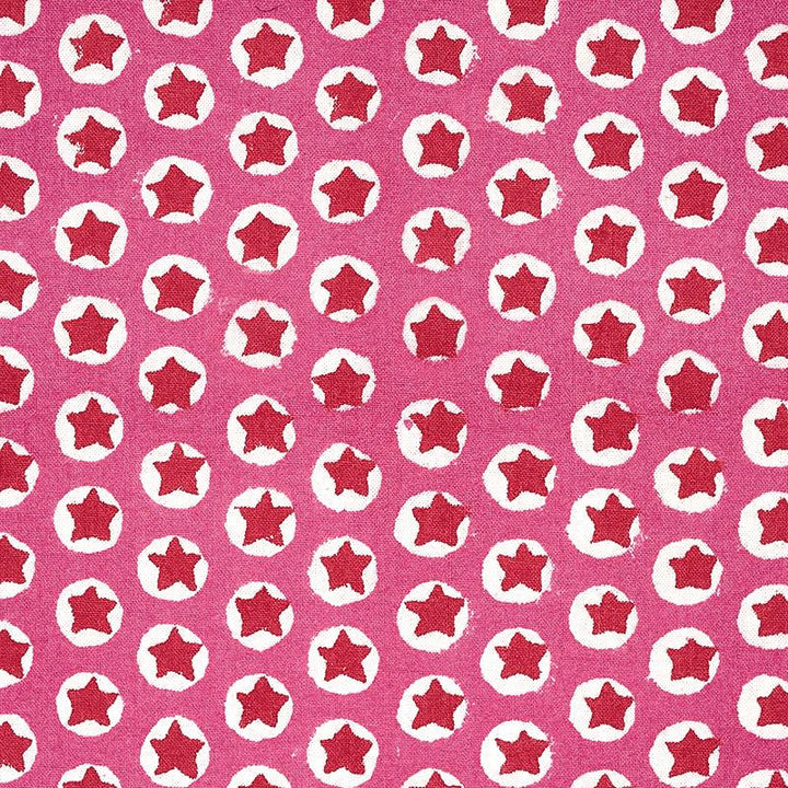 Tuk Tuk Hand Block Print Pink 179220 by Schumacher Fabric Molly Mahon 1.0" - Fabric Carolina -