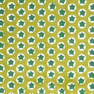 Tuk Tuk Hand Block Print Green 179223 by Schumacher Fabric