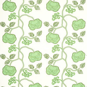 Queen Fruit Chintz Jade 179540 by Schumacher Fabric