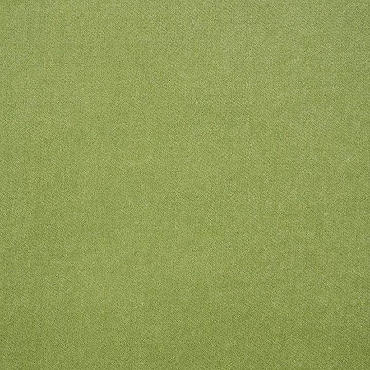 Rocky Performance Velvet Aloe 70575 by Schumacher Fabric Perfect Basics: Velvet - Fabric Carolina -