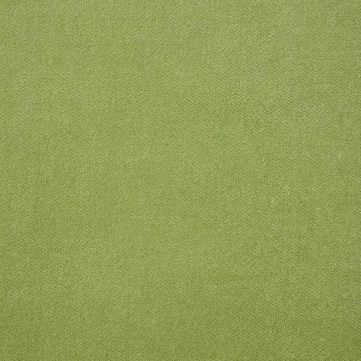 Rocky Performance Velvet Aloe 70575 by Schumacher Designer Fabric Perfect Basics: Velvet - Swanky Fabrics -