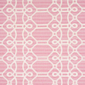 Ziz Embroidery Pink 71935 by Schumacher Fabric