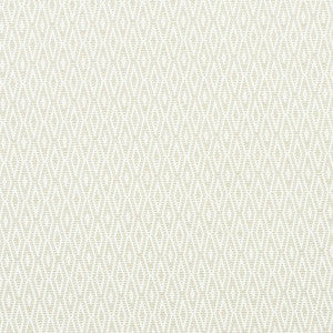 Derby Diamond Performance Ivory 77520 by Schumacher Fabric