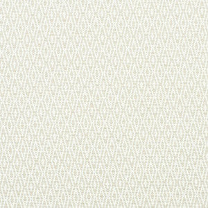 Derby Diamond Performance Ivory 77520 by Schumacher Fabric