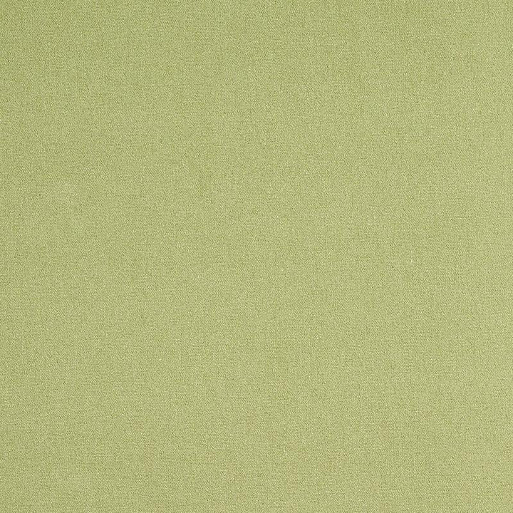 Albert Performance Cotton Green 77810 by Schumacher Designer Fabric Perfect Basics: Cotton - Swanky Fabrics -