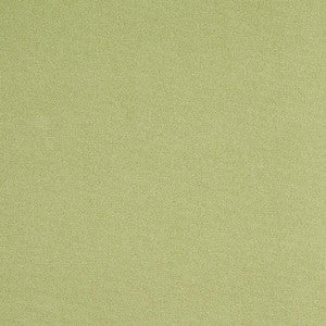 Albert Performance Cotton Green 77810 by Schumacher Fabric