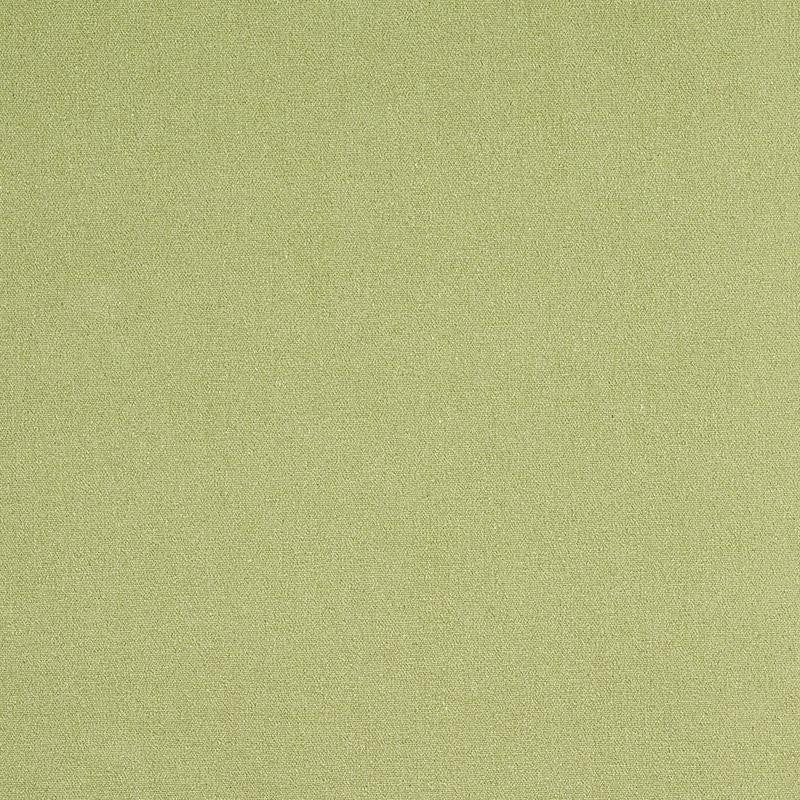 Albert Performance Cotton Green 77810 by Schumacher Fabric Perfect Basics: Cotton - Fabric Carolina -
