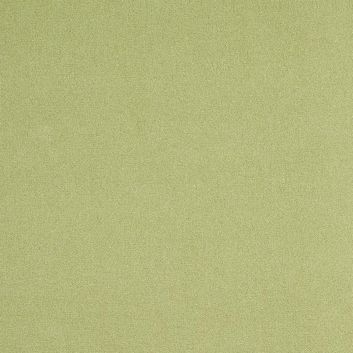 Albert Performance Cotton Green 77810 by Schumacher Fabric Perfect Basics: Cotton - Fabric Carolina -
