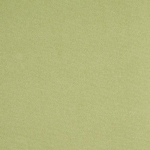 Albert Performance Cotton Green 77810 by Schumacher Fabric