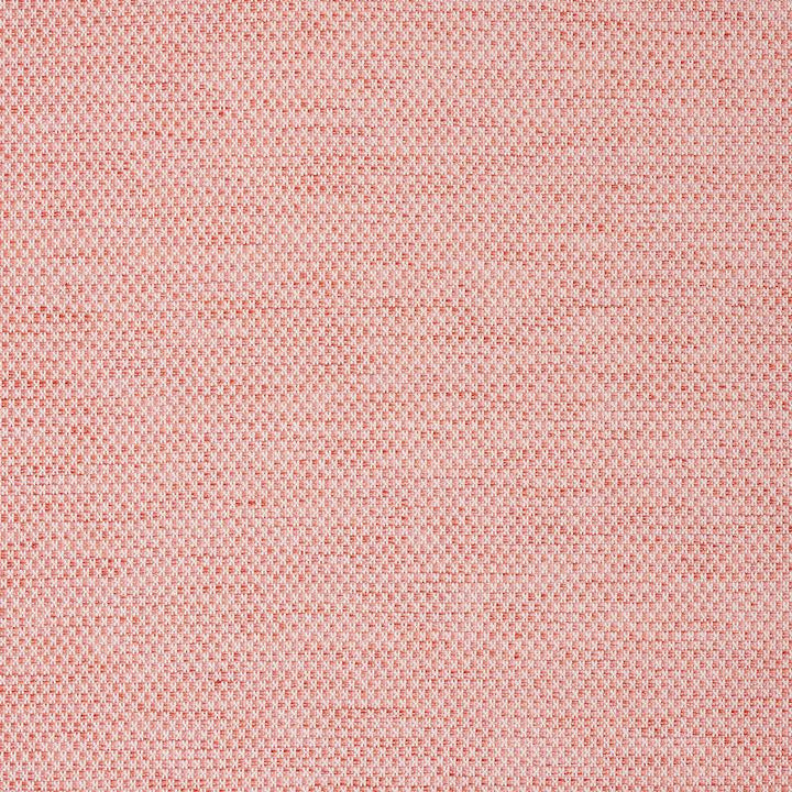 Momo Hand Woven Texture Blush 78930 by Schumacher Fabric A Rum Fellow - Fabric Carolina -