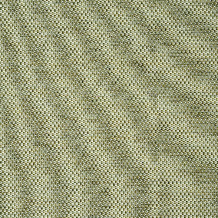 Momo Hand Woven Texture Fern 78933 by Schumacher Fabric A Rum Fellow - Fabric Carolina -