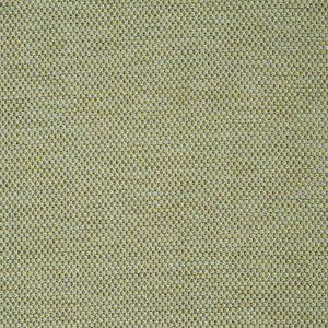 Momo Hand Woven Texture Fern 78933 by Schumacher Fabric