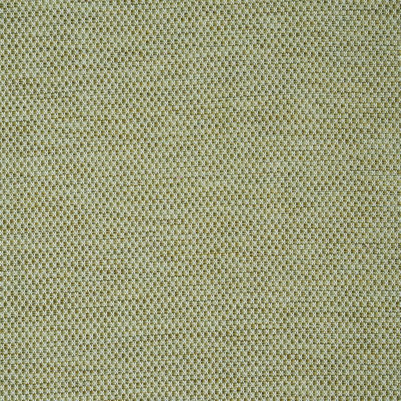 Momo Hand Woven Texture Fern 78933 by Schumacher Designer Fabric A Rum Fellow - Swanky Fabrics -