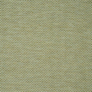 Momo Hand Woven Texture Fern 78933 by Schumacher Fabric