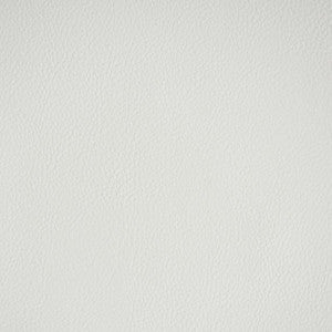 Vegan Leather Indoor/Outdoor Ivory 79551 by Schumacher Fabric