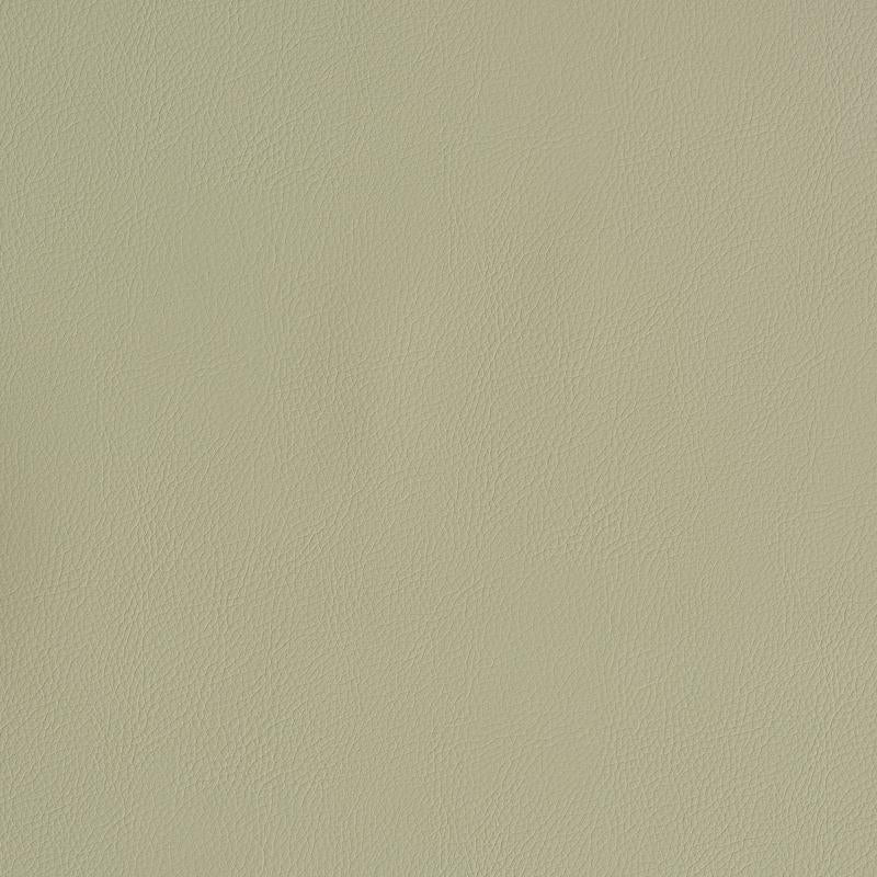 Vegan Leather Indoor/Outdoor Dune 79553 by Schumacher Fabric Perfect Basics: Vegan Leather & Suede - Fabric Carolina -