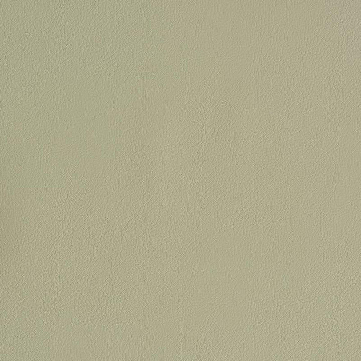 Vegan Leather Indoor/Outdoor Dune 79553 by Schumacher Fabric Perfect Basics: Vegan Leather & Suede - Fabric Carolina -