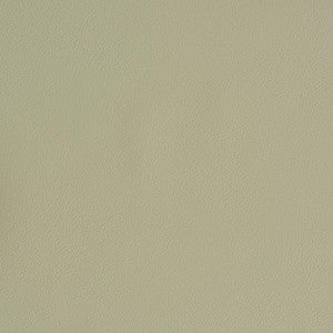Vegan Leather Indoor/Outdoor Dune 79553 by Schumacher Fabric