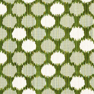 Cirque Velvet Green 73922 by Schumacher Fabric