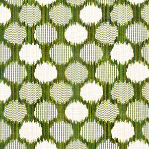 Cirque Velvet Green 73922 by Schumacher Fabric