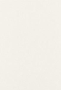 Monte Carlo Weave Coconut 65884 by Schumacher Fabric