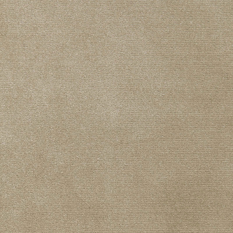 Monaco Performance Velvet Driftwood 65902 by Schumacher Fabric Schumacher Fabric Monaco Performance Velvet Driftwood 65902Fabric SOLUTION DYED ACRYLIC 100% MEXICO </p><p>Repeat: H: , V: 54 - Fabric Carolina -