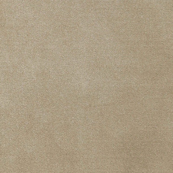 Monaco Performance Velvet Driftwood 65902 by Schumacher Fabric Schumacher Fabric Monaco Performance Velvet Driftwood 65902Fabric SOLUTION DYED ACRYLIC 100% MEXICO </p><p>Repeat: H: , V: 54 - Fabric Carolina -