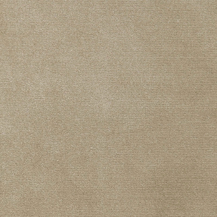 Monaco Performance Velvet Driftwood 65902 by Schumacher Fabric STEEL MAGNOLIA SOLUTION DYED ACRYLIC 100% MEXICO WYZENBEEK 100,000 </p><p>Repeat: Horizontal: and Vertical: 54 - Fabric Carolina -