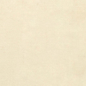 Monaco Performance Velvet Dune 65906 by Schumacher Fabric