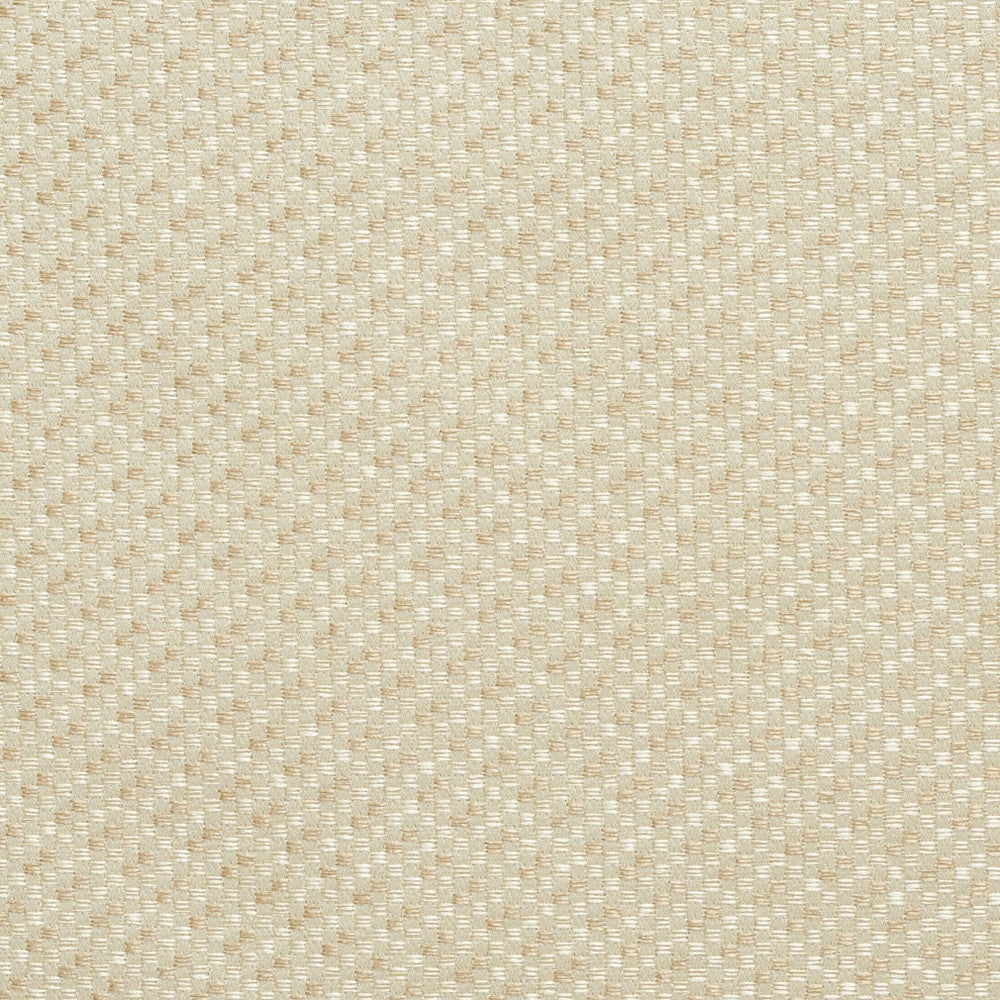 6590 Champagne Tweed by Charlotte Fabric Dazzling Damasks 100% Woven Polyester Asia Exceeds 48,000 Wyzenbeek Rubs (Heavy Duty) No Repeat 54 Inches - Fabric Carolina -