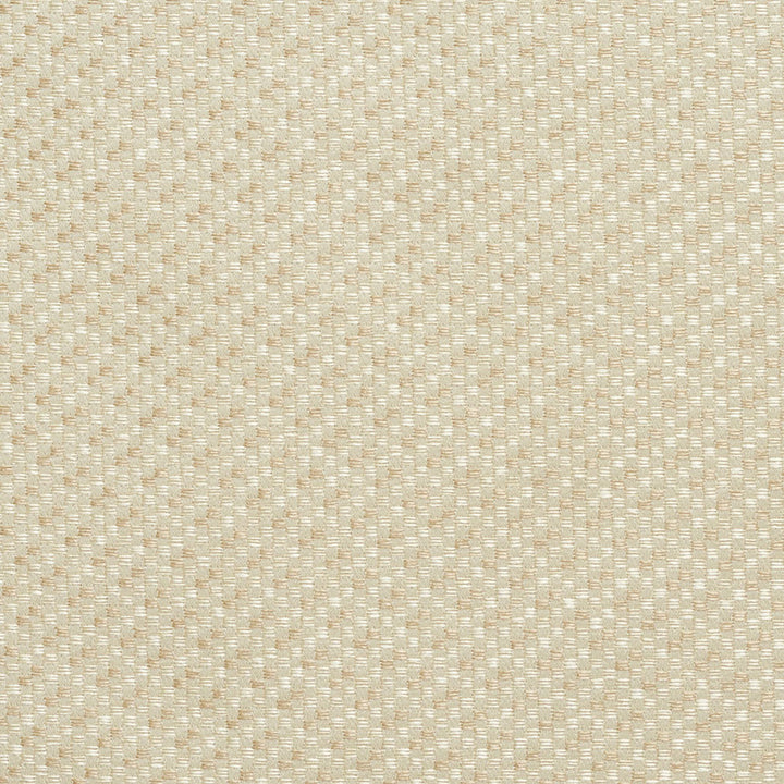 6590 Champagne Tweed by Charlotte Fabric Dazzling Damasks 100% Woven Polyester Asia Exceeds 48,000 Wyzenbeek Rubs (Heavy Duty) No Repeat 54 Inches - Fabric Carolina -