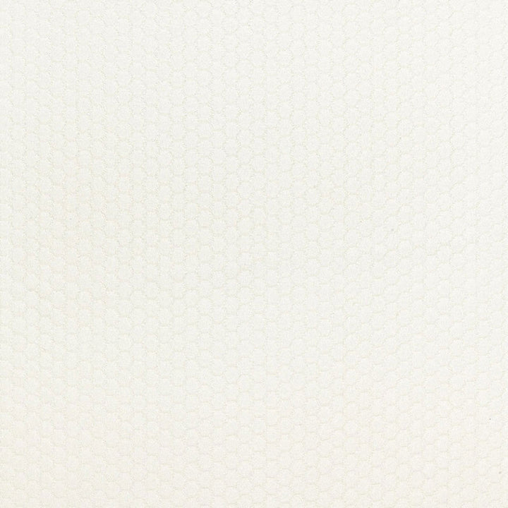 Riviera Matelasse Coconut 65950 by Schumacher Fabric COTE D'AZUR See Sample UNITED STATES OF AMERICA MEDIUM DUTY </p><p>Repeat: Horizontal: 1 1/8" (3CM) and Vertical: 3/4" (2CM) 52 2/8" WIDE (133CM) - Fabric Carolina -