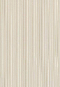 Marbella Strie Driftwood 65971 by Schumacher Fabric