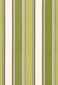 Addison Cotton Stripe Vert 66003 by Schumacher Fabric