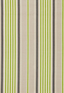 Minzer Cotton Stripe Vert 66012 by Schumacher Fabric