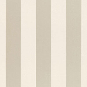 Beaufort Awning Stripe Platinum 66040 by Schumacher Fabric