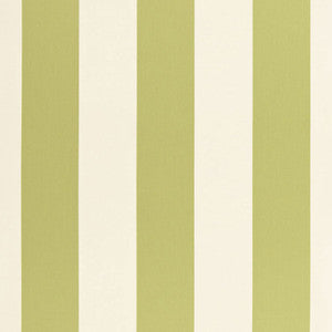 Beaufort Awning Stripe Green Tea 66042 by Schumacher Fabric