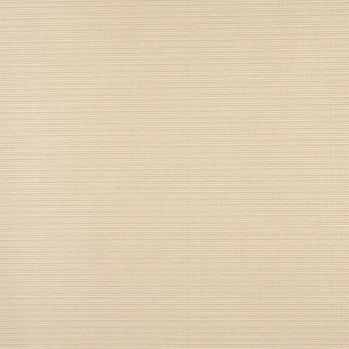 6617 Sand by Charlotte Designer Fabric Outdoor/Indoor Oasis III 100% Woven Polyester Made In USA Exceeds 48,000 Wyzenbeek Rubs (Heavy Duty) </p><p>Repeat: 54 Inches - Swanky Fabrics -
